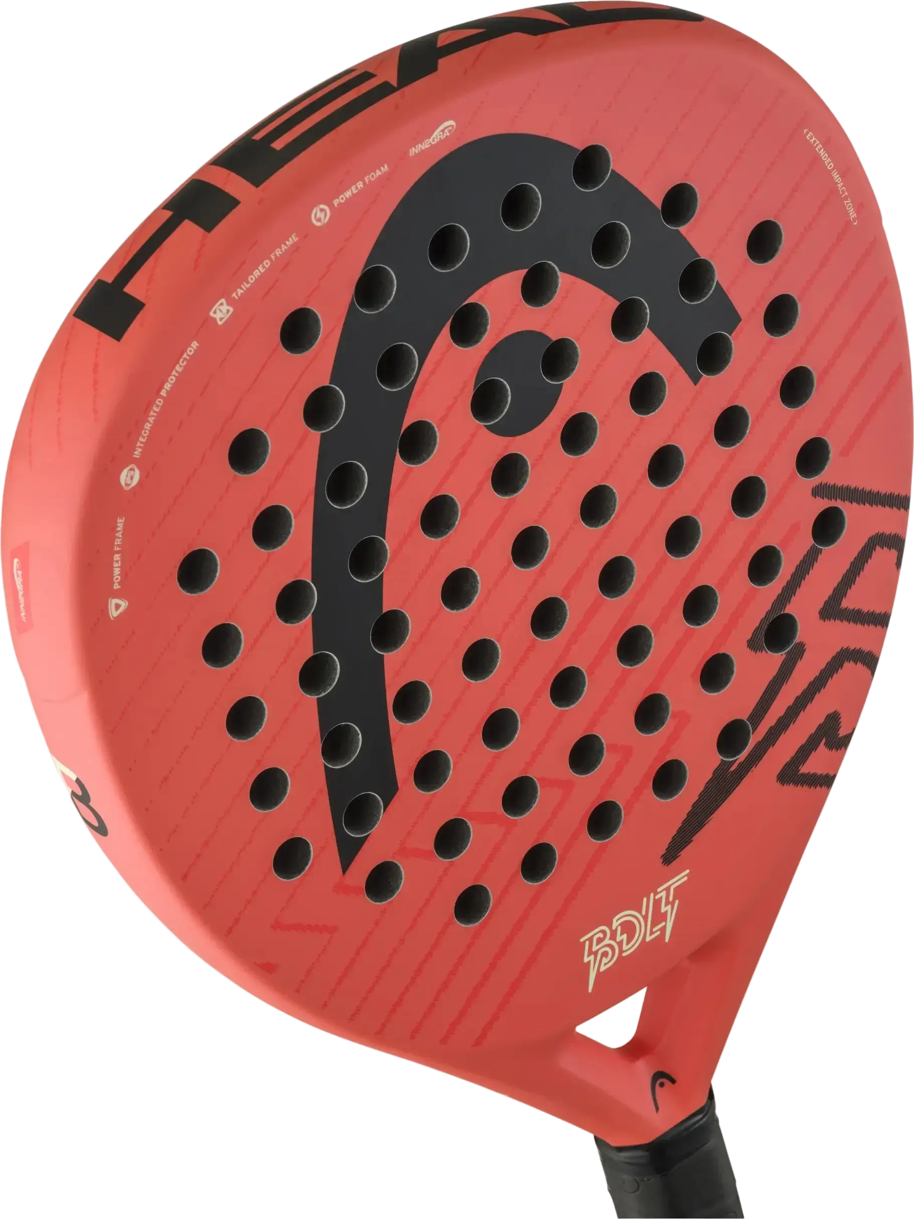 HEAD Bolt 2026 padel racket close up face texture and drilling pattern, designed for beginner players